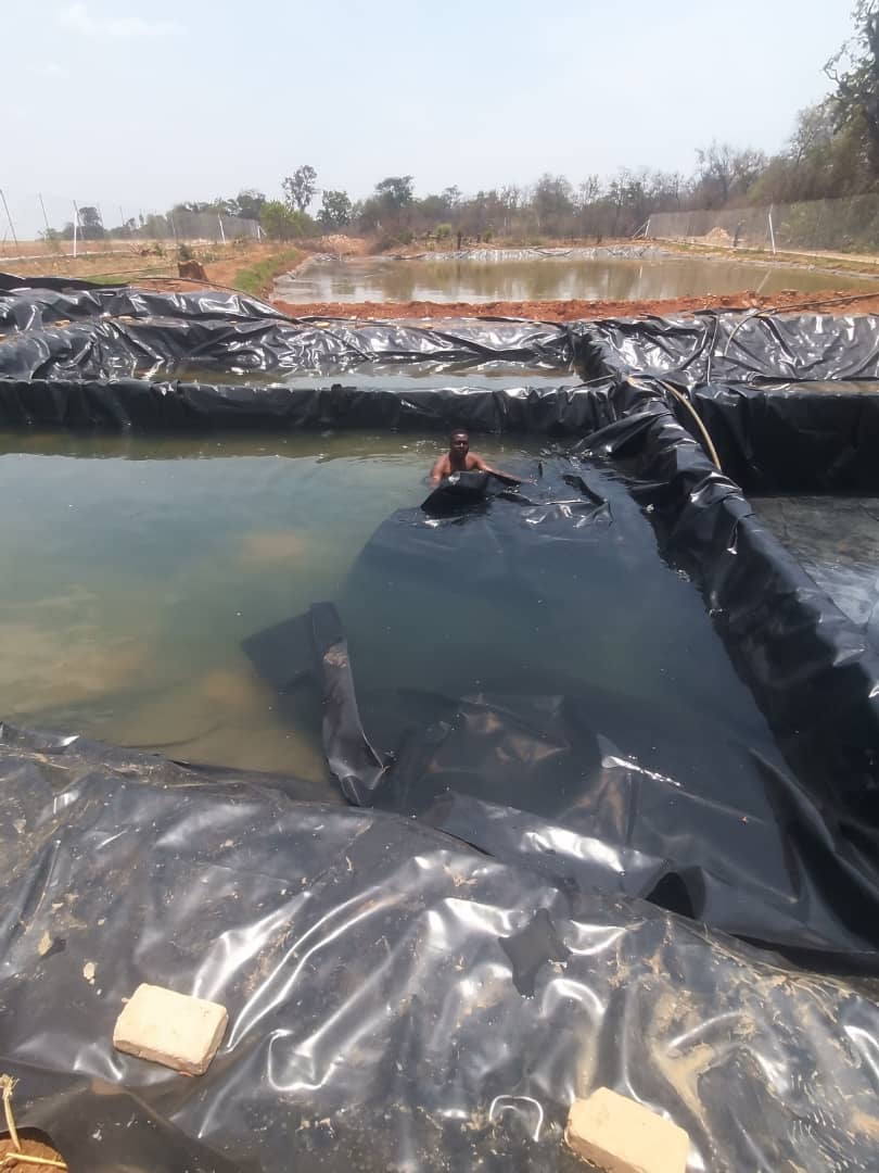 Fish Pond Construction